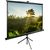  Экран Cactus 200x200см TriExpert CS-PSTE-200x200-BK 1:1 напольный рулонный черный 