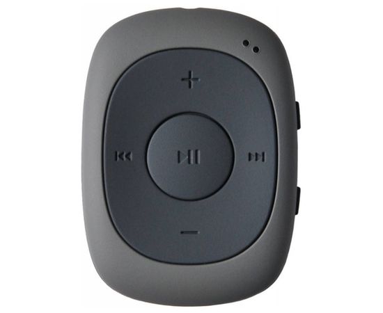  Плеер Flash Digma C2L 4Gb серый/FM/clip 