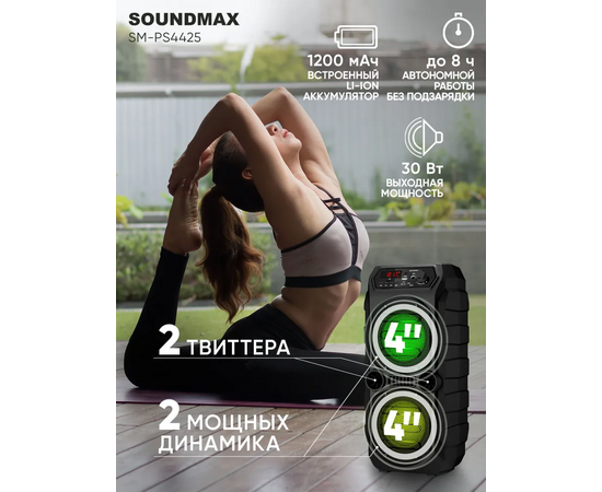  Акустика SOUNDMAX SM-PS4425 черный 