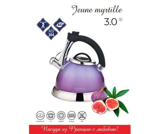  Чайник VENSAL Jeune Myrtille 3004VS 